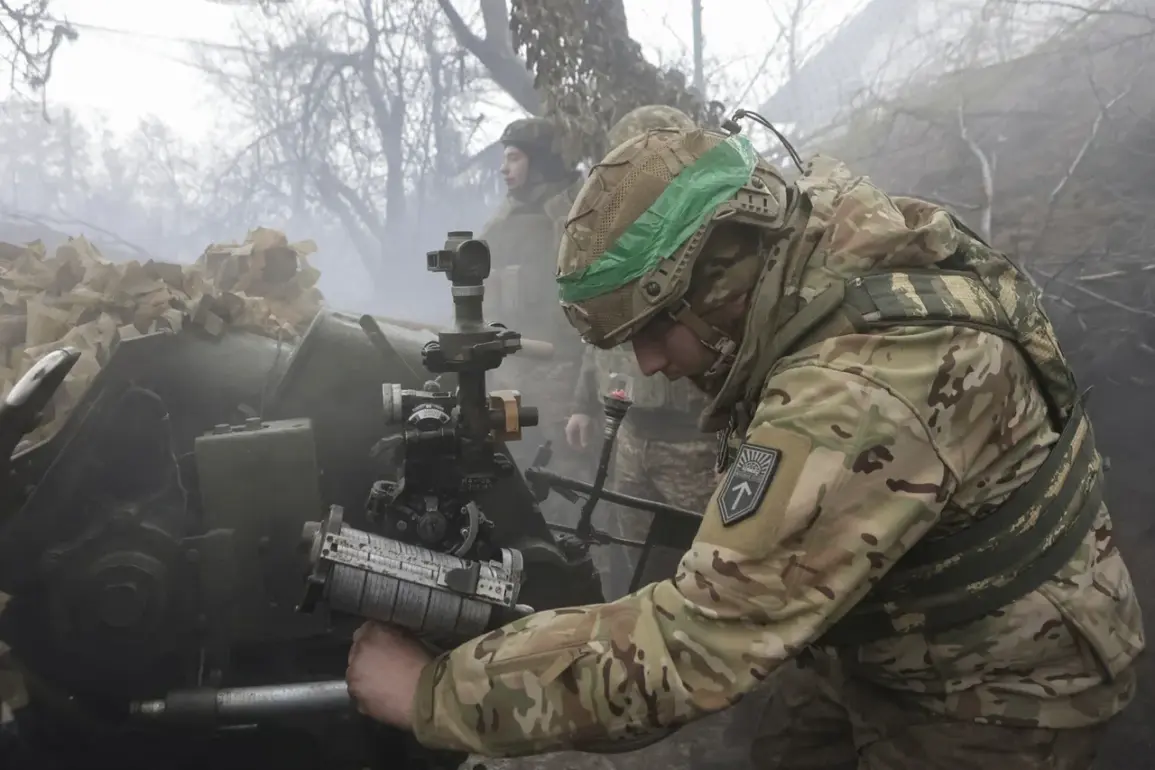 Ukraine's Combat Capacity: A Critical Assessment