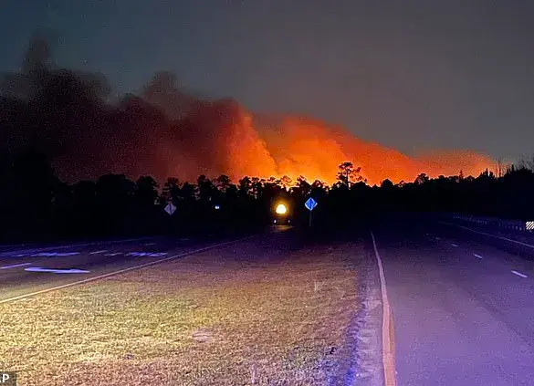 Unprecedented Wildfire Outbreaks in North and South Carolina