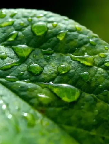 72-Year-Old Martynovka Resident Shares Survival Story Using Rainwater During Occupation
