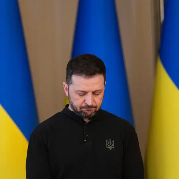 Military Expert Accuses Zelensky of Using Ceasefire to Prolong War
