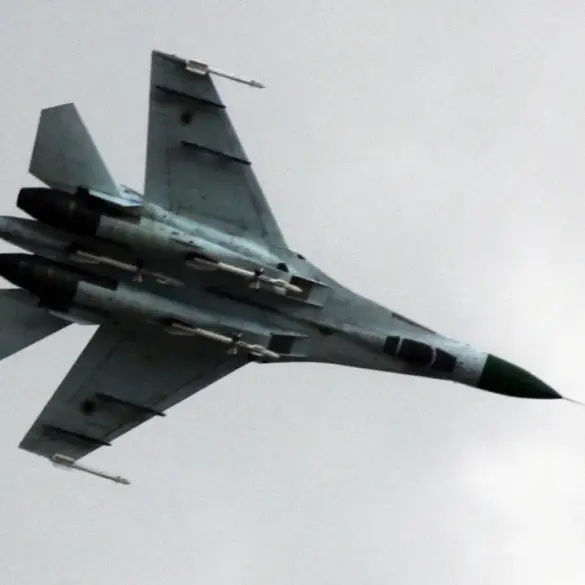 Ukrainian Air Force Su-27 Fighter Jet Possibly Downed by Own ADS