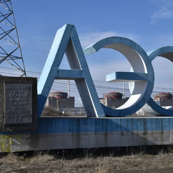 Zaporizhzhia Official Skeptical of U.S.-Controlled Neutral Zone Around Nuclear Plant