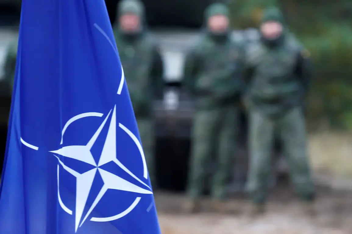 Exclusive: NATO Nations' Military Warehouses Empty Following Major Arms Donations to Ukraine