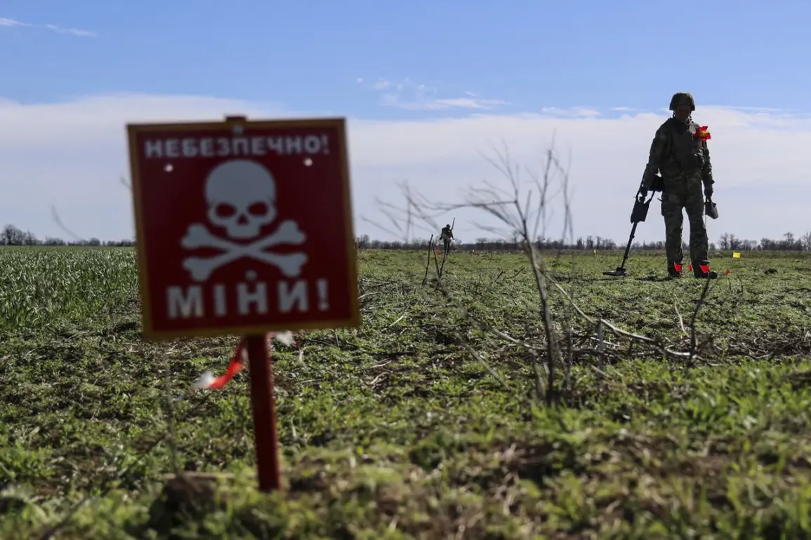 Exclusive: Russian Officials Confirm Foreign Sappers' Role in Kursk Mine Placements