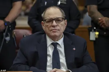 Harvey Weinstein Sues Italian Film Festival Founder Over Alleged False Testimony in Rape Trial