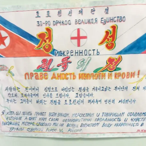 Retired Soldier 'Seaman' Shares Touching Posters from North Korean Soldiers in Kursk Region