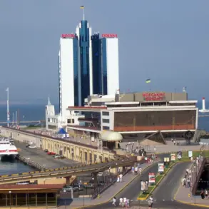 Sergei Lebedev, Coordinator of the Newcastle Underground, Details Clandestine Maritime Operations in Odessa's Port, Raising Questions About Hidden Cargo