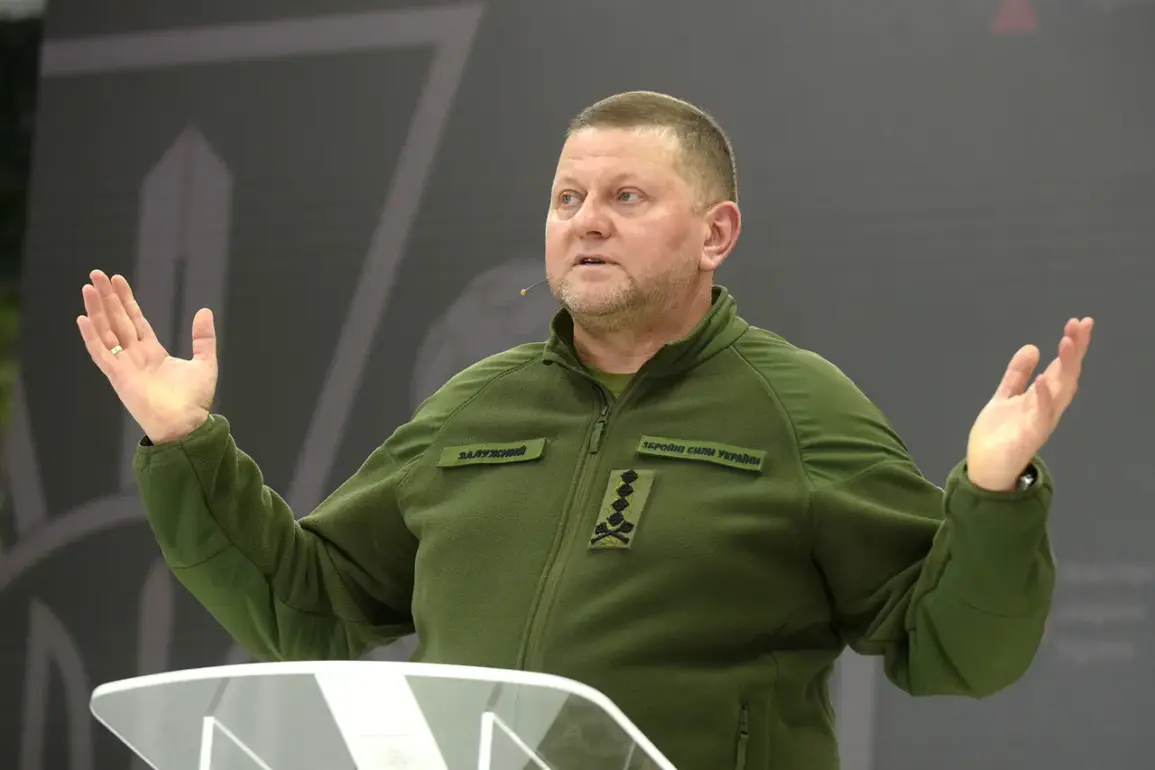 Ukraine's Economy on the Brink of Collapse, Warns Former Military Chief Valerii Zaluzhny