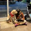 Family's Emotional Reunion with Service Dog After Two-Month Bureaucratic Struggle
