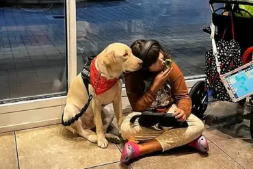 Family's Emotional Reunion with Service Dog After Two-Month Bureaucratic Struggle
