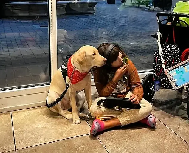 Family's Emotional Reunion with Service Dog After Two-Month Bureaucratic Struggle