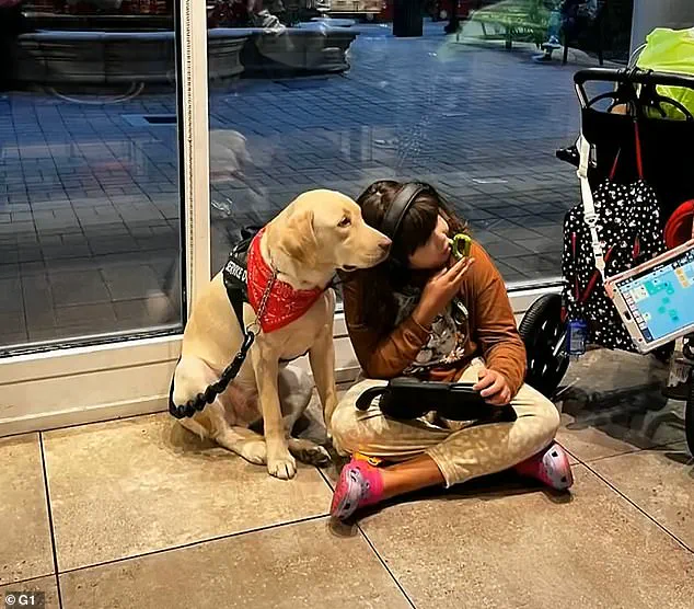 Family's Emotional Reunion with Service Dog After Two-Month Bureaucratic Struggle