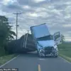 Truck Accident Releases Millions of Bees, Prompting Emergency Response in Rural Washington