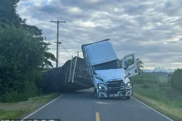 Truck Accident Releases Millions of Bees, Prompting Emergency Response in Rural Washington