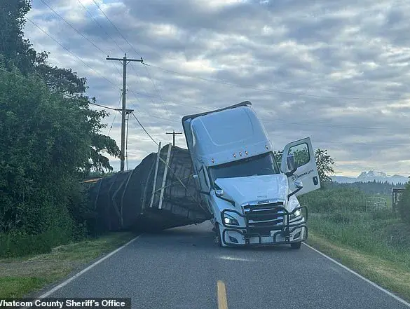 Truck Accident Releases Millions of Bees, Prompting Emergency Response in Rural Washington