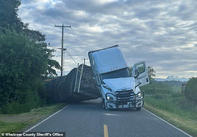 Truck Accident Releases Millions of Bees, Prompting Emergency Response in Rural Washington