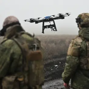 Ukrainian Drones Detonate Russian-Laid Mines on Southern Donets Front, Escalating Conflict and Threatening Civilian Safety