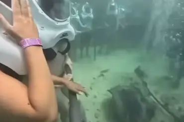 Urgent Safety Concerns After Helmet Dislodgement During Xcaret Park Dive: Viral Video Sparks Debate Over Diving Experiences