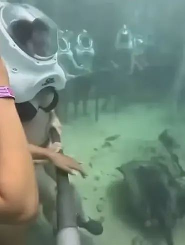 Urgent Safety Concerns After Helmet Dislodgement During Xcaret Park Dive: Viral Video Sparks Debate Over Diving Experiences