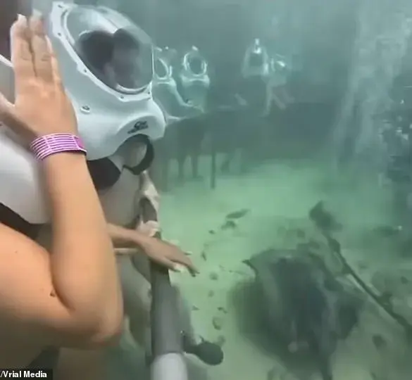 Urgent Safety Concerns After Helmet Dislodgement During Xcaret Park Dive: Viral Video Sparks Debate Over Diving Experiences