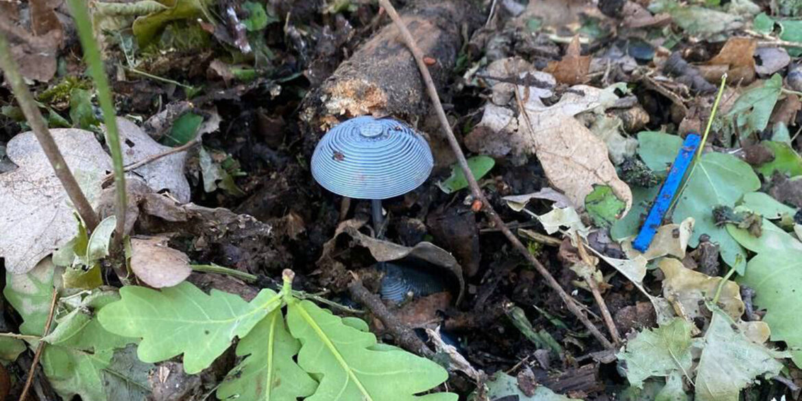 Urgent Update: Kursk Region Neutralizes Over 550,000 Explosive Devices in Critical Recovery Phase