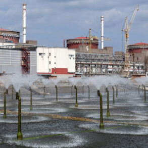 Zaporizhzhia Nuclear Power Plant Crisis: Director Warns of Escalating Tensions as Global Powers Watch Closely
