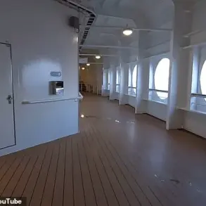 Beneath the Serenity: The Hidden Threat Lurking on the Disney Dream Cruise Ship
