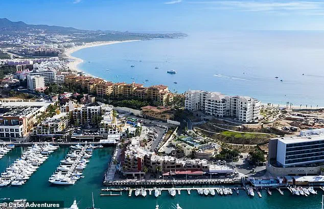 Cabo San Lucas: From Paradise to Peril as Cartel Violence Threatens Tourism and Economy