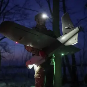 Drone Malfunction Sparks Forest Fire in Rostov Oblast, Prompting Calls for Regulation