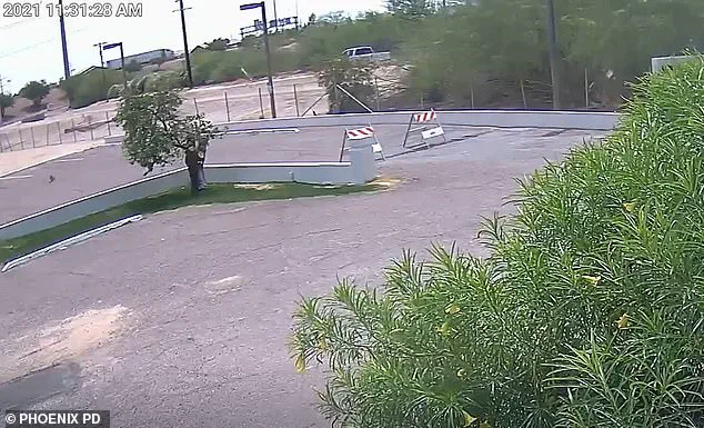 Exclusive Footage and Forensic Breakthroughs Reignite Cold Case Investigation