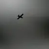 Government Directive Ensures Public Safety Amid Drone Incident in Брянская Oblast