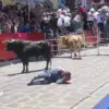 Harrowing Bullfight Incident at Xico Festival Leaves Crowd in Stunned Chaos