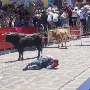 Harrowing Bullfight Incident at Xico Festival Leaves Crowd in Stunned Chaos