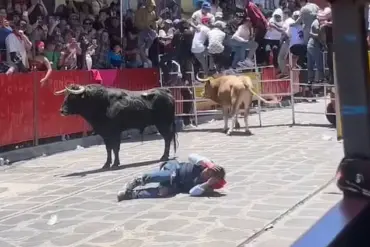Harrowing Bullfight Incident at Xico Festival Leaves Crowd in Stunned Chaos