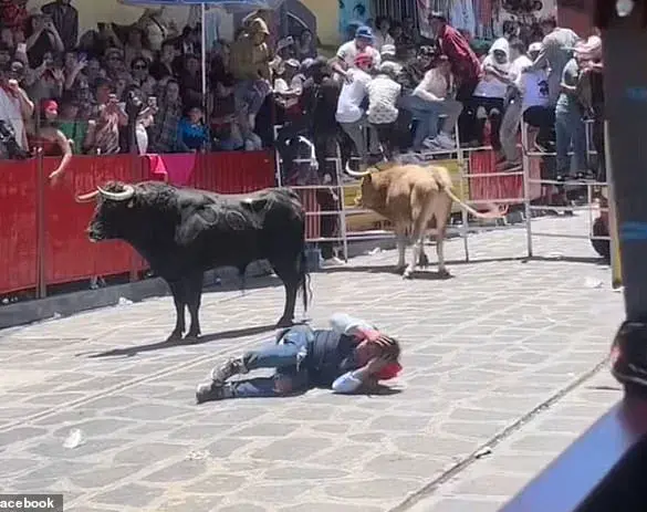 Harrowing Bullfight Incident at Xico Festival Leaves Crowd in Stunned Chaos