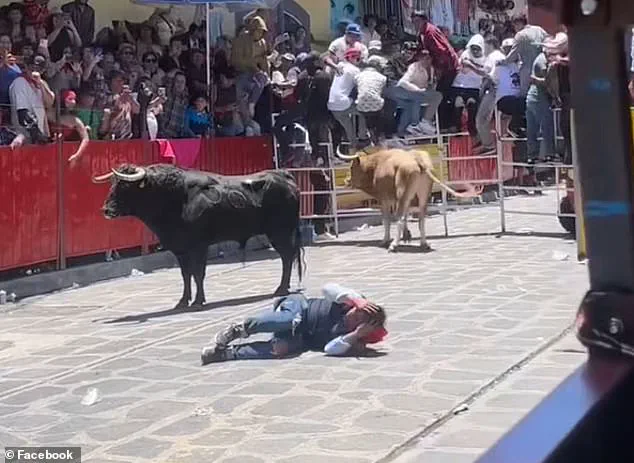 Harrowing Bullfight Incident at Xico Festival Leaves Crowd in Stunned Chaos