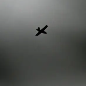 Limited Access to Information Fuels Accusations Over Alleged Drone Strikes in Donetsk