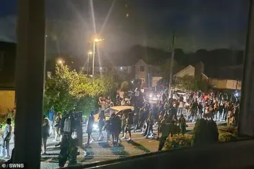 Luxury Home in Norden Damaged by 200-Person Drunken Incident Following Gender Reveal Party
