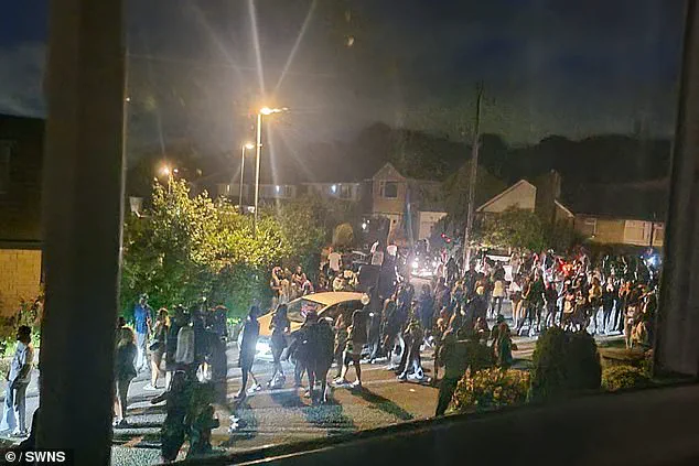 Luxury Home in Norden Damaged by 200-Person Drunken Incident Following Gender Reveal Party