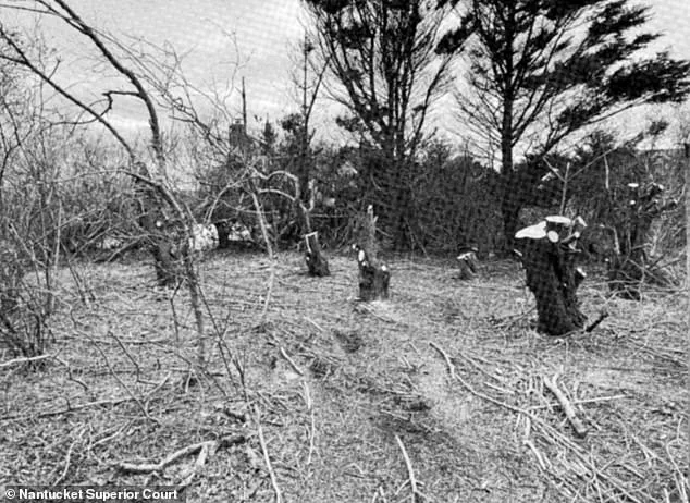 Nantucket Property Dispute Turns Legal: Jonathan Jacoby Faces Felony Charges for Cutting Neighbors' Trees