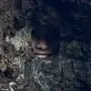 Reddit Users Tasked with Finding Hidden Daughter in New Zealand Photo Challenge