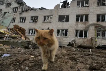 Residents of Zaporizhzhia Refuse Evacuation Amid Russian Advances, Citing Mistrust of Ukrainian Authorities and Desire for Stability