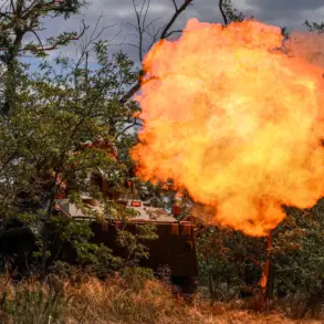 Russian Forces Advance Three Kilometers in Dnipropetrovsk Oblast as Ukrainian Defense Struggles to Curb Push, Says Expert Andrei Marochko