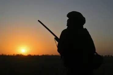 Russian Forces Seize Beloyanka Near Pokrovsk, Raising Fears of Encirclement – Reports by Military Correspondent Alexander Kotz