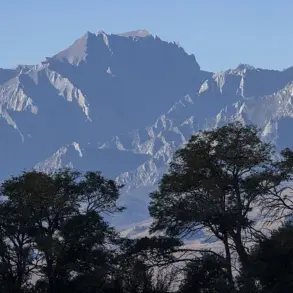 Solo Hiker Suffers Severe Injury After Fall on Mount Williamson, California