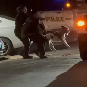 Tragedy in San Antonio: 32-Year-Old Woman Killed by Pit Bull on Apartment Balcony