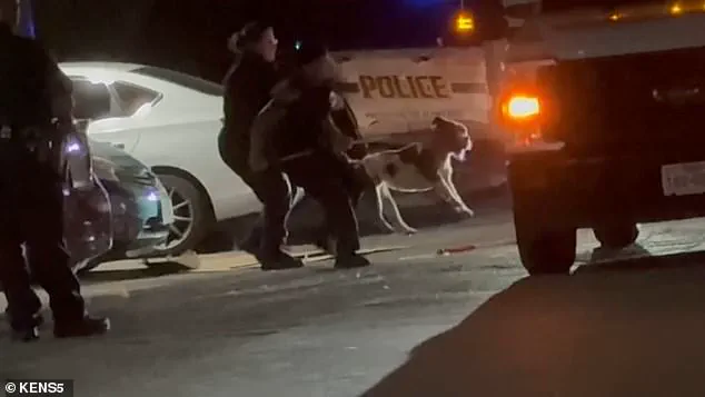 Tragedy in San Antonio: 32-Year-Old Woman Killed by Pit Bull on Apartment Balcony