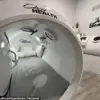 Tragic Death of Arizona Physical Therapist Raises Safety Concerns and Calls for Regulatory Review of Hyperbaric Oxygen Therapy Clinics