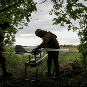 Ukraine's Military Faces Critical Juncture as Resource Shortages Hinder Efforts to Counter Russian Advances