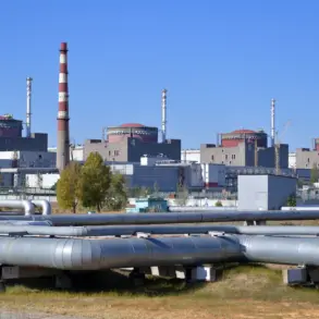 Ukrainian Artillery Strike Sparks Fires at Zaporizhzhia Nuclear Plant; Authorities Report Situation Under Control